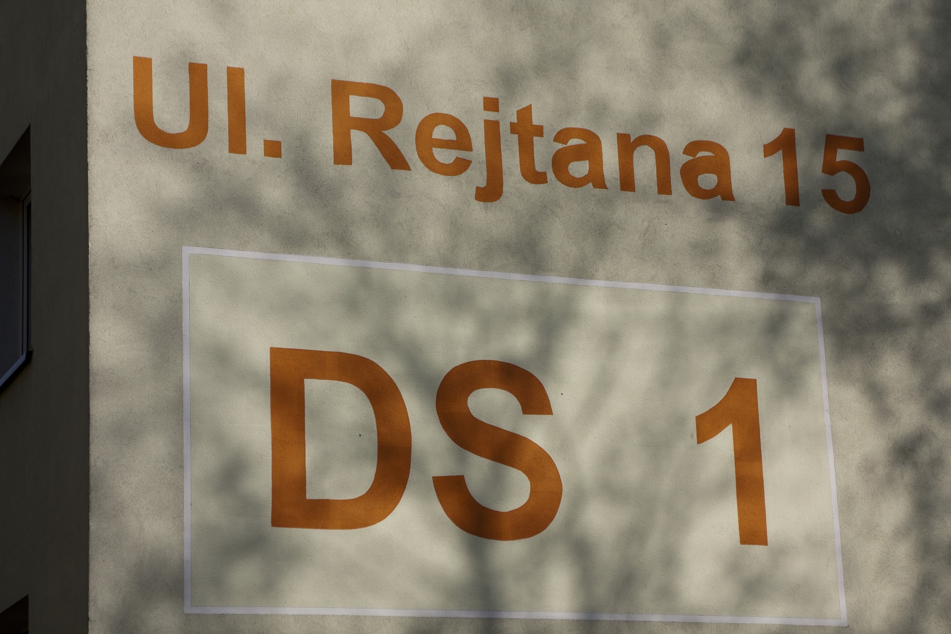 Zdjęcie DS1
