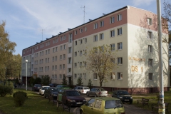 Zdjęcie DS1