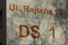 Zdjęcie DS1