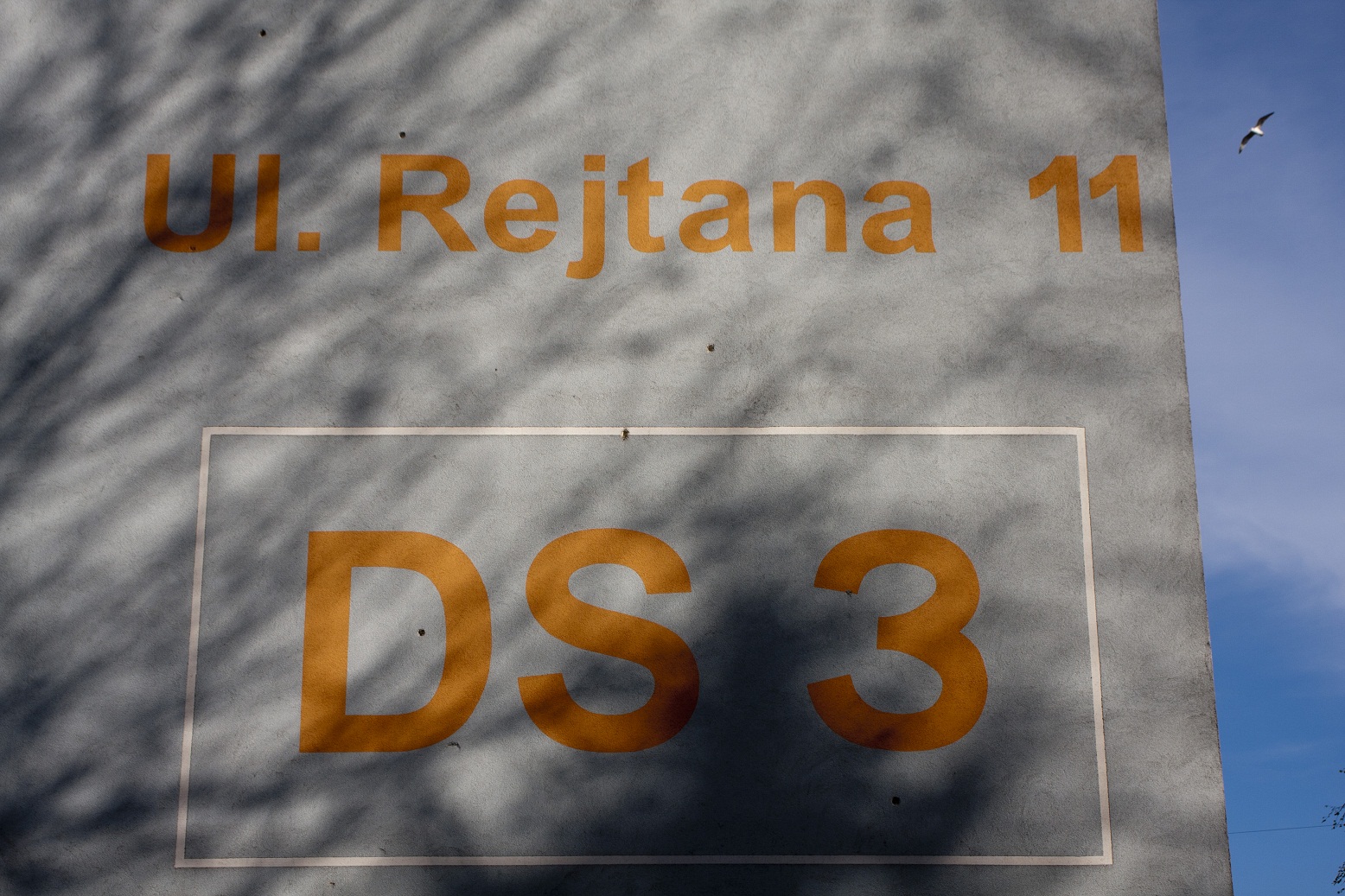 Zdjęcie DS3